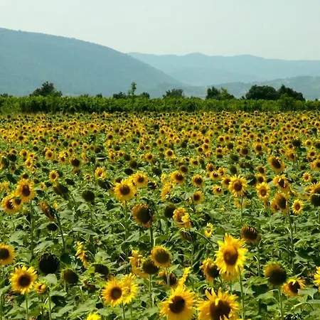 빌라 La Pinede